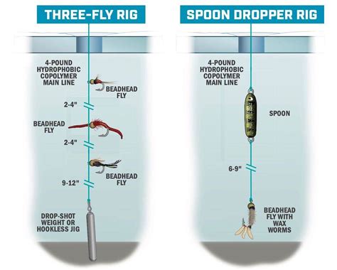 what is a drop shot in fishing? the role of a drop shot in bass fishing tournaments